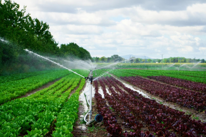 Sivas'ta "Yeni Destekleme Modeli" Toplantısı Düzenlendi