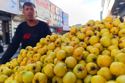 Van'da Kışın Habercisi Alıç Tezgahlarda: Fiyatlar 200 TL'yi Buldu