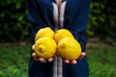 Mersin’de Limon Hasadı Başladı: Fiyatlar 8 ile 15 TL Arasında