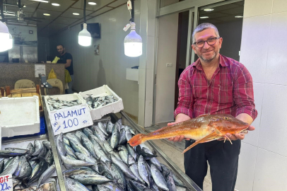 Sinop’ta Nadide Kırlangıç Balığı 400 TL’den Satışa Çıkarıldı