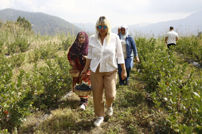 Seda Özel: Kuraklık Kapımızdan Girdi