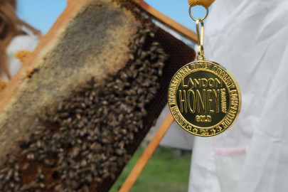 Zonguldak Beekeepers Become World Champions with Chestnut Honey