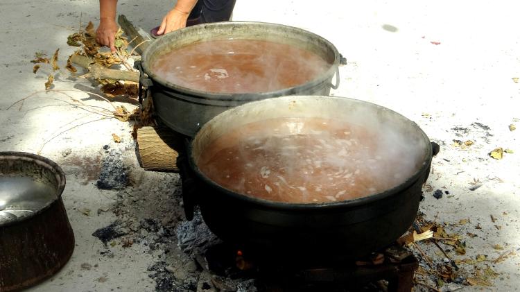 Türkiye'nin İlk Gastro Müzesi Muğla'da Açıldı