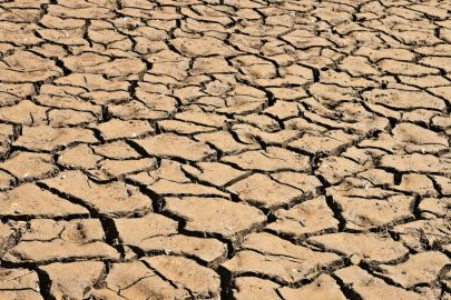 Alarm: Half of Agricultural Lands Threatened by Drought!