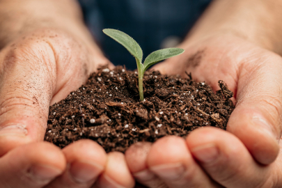 A Revolution Through Science: Shaping the Future of Food in Turkey