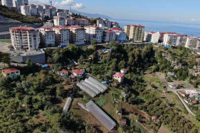 Trabzon'da Apartmanlar Arasında Organik Tarım Mucizesi