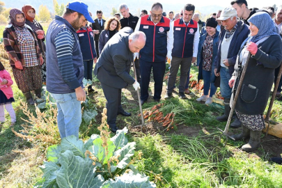 Denizli'nin Coğrafi İşaret Adayı Çakır Havucunda Hasat Zamanı