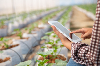 Agrotech, Deprem Bölgesinde Sözleşmeli Tarıma Başlıyor