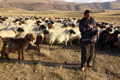 Van'a 200 Bin Koyunla Rekor Destek