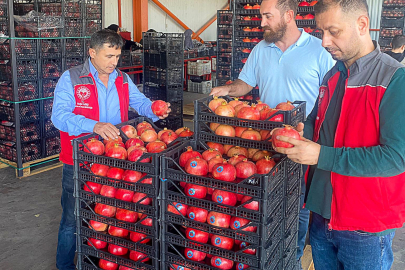 Ortaca Ürünleri Dünya Pazarında Talep Görüyor