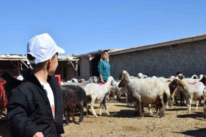 Hayvancılıkta Kadın Girişimciliği: 250 Bin Liralık Hibe ile Başarı