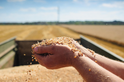 FAO Raporu: Tarımda Büyüme, Açlık ve İklim Krizi Gerçeği