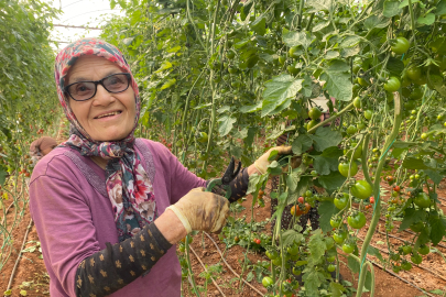 75 Yaşındaki Sevim Palas: Hayata Tutunmanın ve Çalışmanın Hikayesi