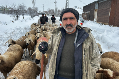 Sivas'ta Çobanlar Sürülerini Kıştan Koruyor