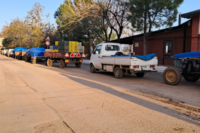 İznik'te Zeytinciler Tarım Kredi için Kuyrukta Bekliyor