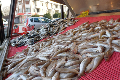 Düzce'de Balık Tezgahları Bereketle Doldu