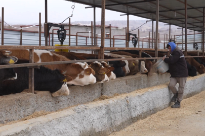 Kırıkkale'de Ağırbaş Kardeşlerden Devlet Destekli Çiftlik Atılımı