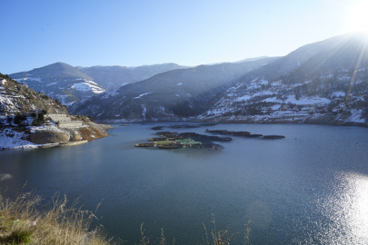 Gümüşhane’den Dünya’ya: Karadeniz Somonu İhracatı Rekor Kırıyor