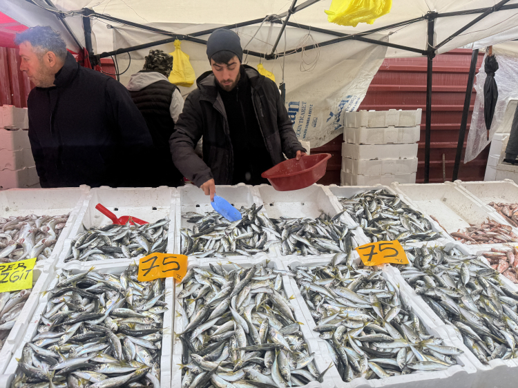 Zonguldak’ta Uygun Fiyatlı İstavrite Yoğun İlgi