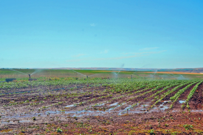 Çiftçi Borçları 776 Milyar Liraya Ulaştı