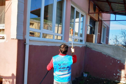 Samsun'da Kahverengi Kokarca Zararlısına Karşı İlaçlama