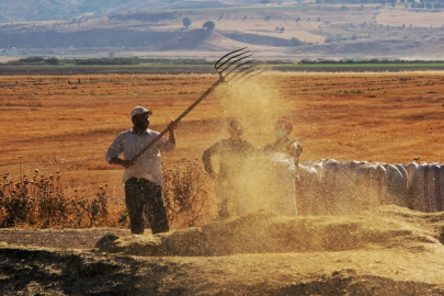 Tarımsal Girdi Fiyatları Yıllık Yüzde 32,59 Arttı