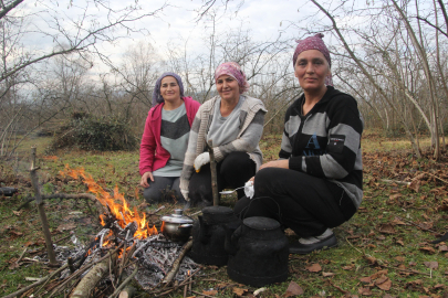 Fındık Bahçelerinde Kış Mesaisi Başladı