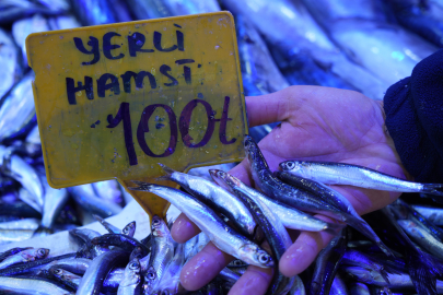 Samsun’da Hamsi Fiyatı Yarı Yarıya Düştü