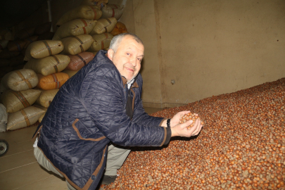 TMO Fındık Alımını Durdurdu, Piyasada Durgunluk Hakim