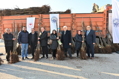 Denizli’de Ceviz Üretimi İçin 587 Bin Fidan Dağıtıldı