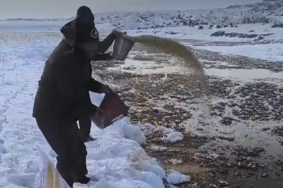 Van’da Yaban Hayvanlarına Yem Desteği