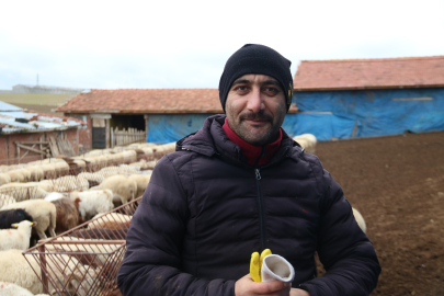 Dededen Toruna Uzanan Meslek: Canlı Hayvan Ticareti