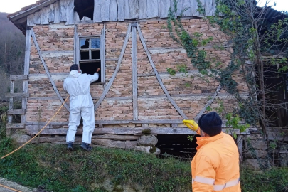 Kahverengi Kokarca İstilasıyla Mücadele Sürüyor