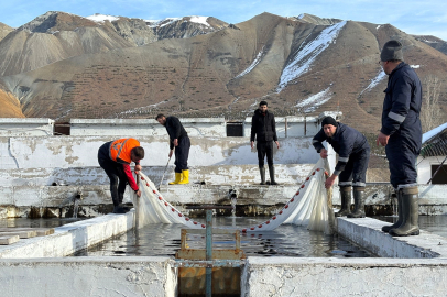 Erzincan Su Ürünleri Üretiminde Zirveye Oynuyor