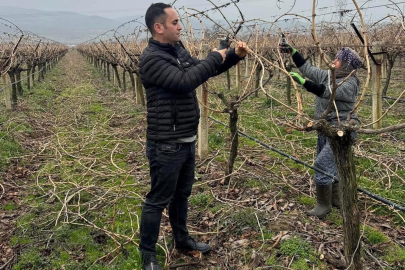 Bağcılıkta Tasarruf İçin Aileler İşe Dört Elle Sarıldı