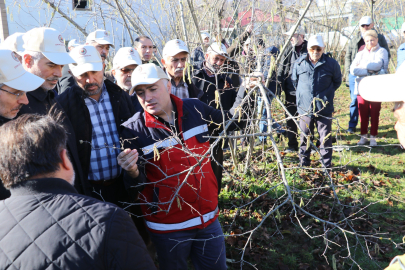 Samsun'da Fındık Budama Yarışması Heyecanı