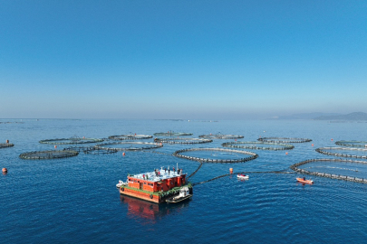 Muğla’dan Su Ürünleri İhracatında 625,6 Milyon Dolarlık Rekor