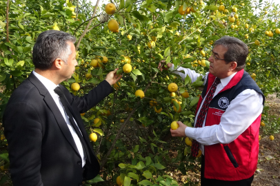 Yapay Limon Sosuna Yasak: Mersin'de Denetimler Başladı