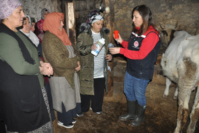 Karslı Kadın Çiftçilerden Hijyenik Sağım Atılımı