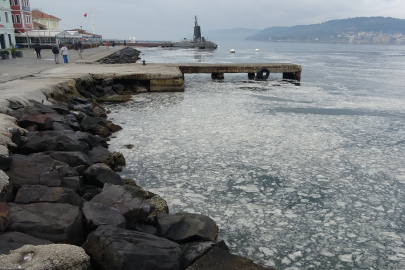 Çanakkale Boğazı'nda Müsilaj Yeniden Görüldü