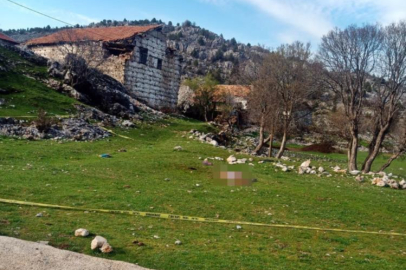 Köpek Saldırısında Hayatını Kaybeden Kadının Davasında Karar