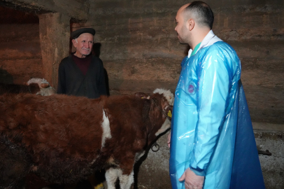 Kastamonu’da ahır havası araştırıldı: Sağlık riski büyük