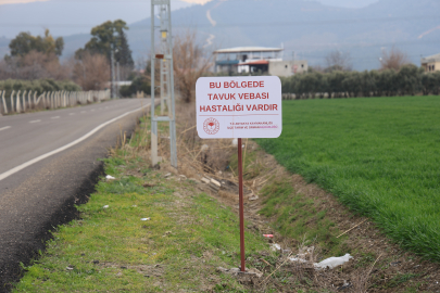 Hatay'da Kuş Gribi Alarmı: 338 Kanatlı Hayvan İtlaf Edildi