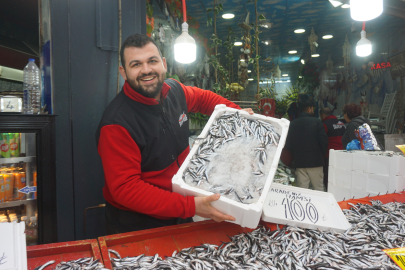 Edirne’de Hamsi Bolluğu: Fiyat 100 TL’ye Düştü