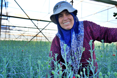 Antalya’dan 80 Milyon Dal Çiçek İhracatı