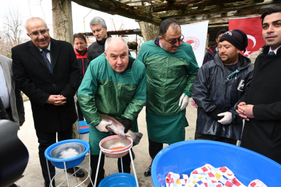 Denizli’de Alabalık Üretimi Hız Kesmeden Devam Ediyor