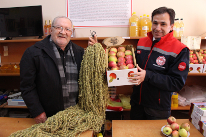 Amasya Misket Elması ve Çiçek Bamyası İçin AB Tescil Başvurusu