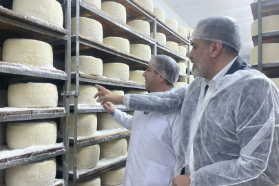 Şanlıurfa’dan Dünya Pazarına: Çadırdan Fabrikaya Peynir Serüveni